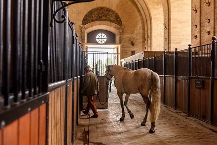 Horse Boarding Agreement