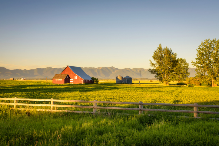 Horse Farm