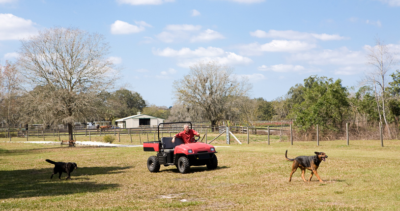 Horse Manure Management