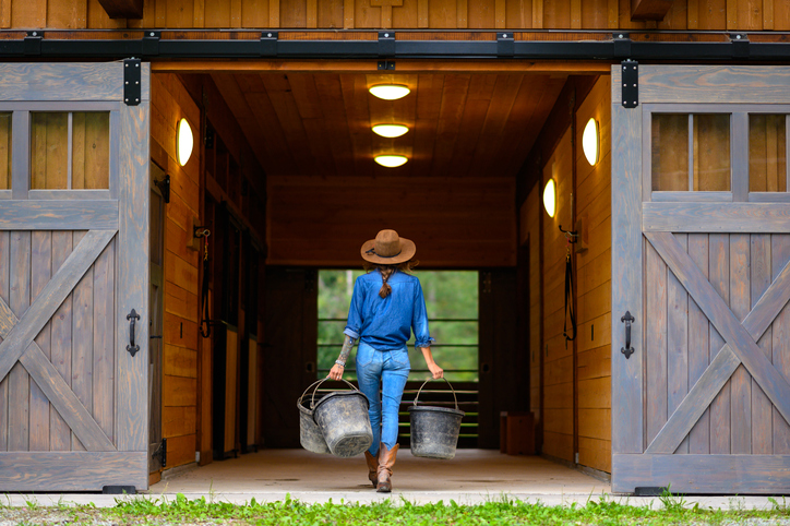 Horse Barn